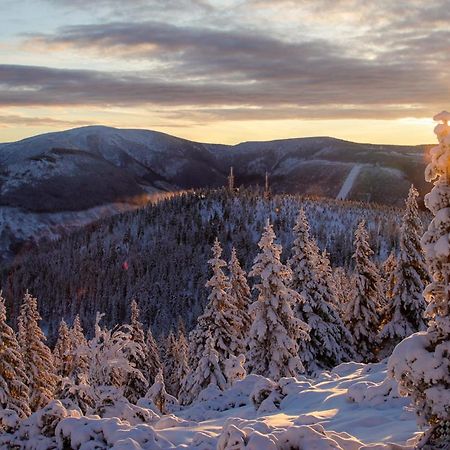 Apartmany D U Sjezdovky - Горні Місечки Екстер'єр фото