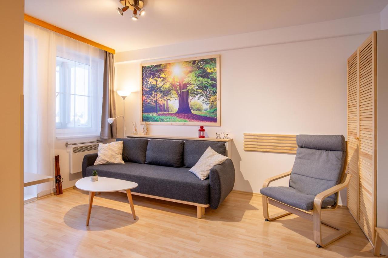 Apartmany D U Sjezdovky - Горні Місечки Екстер'єр фото